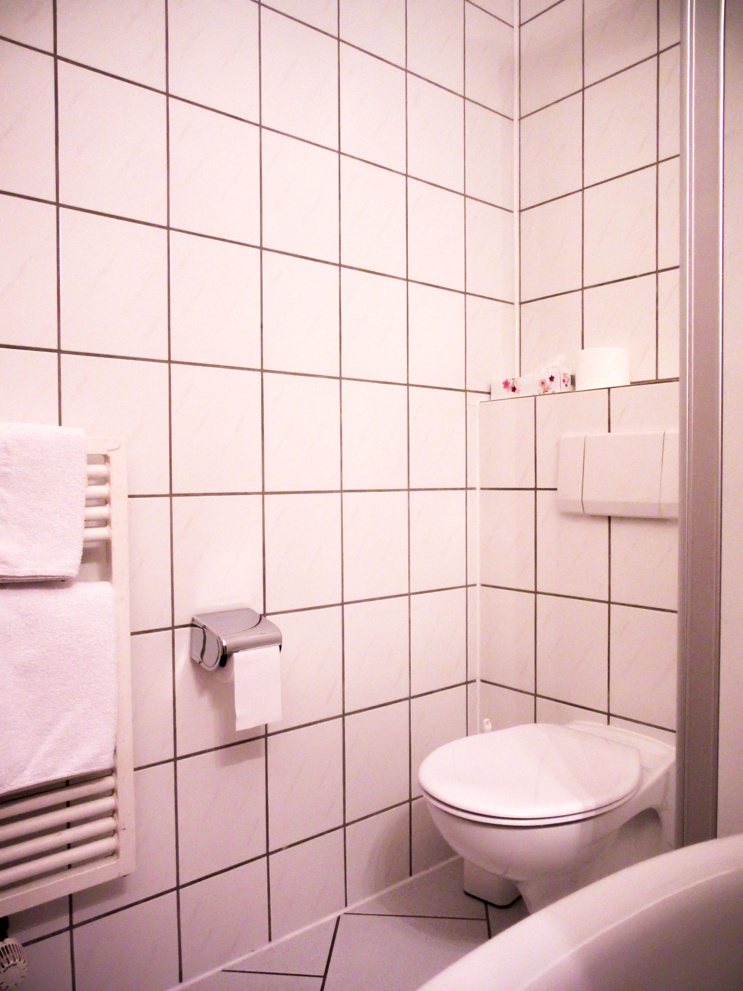 single room, 1 single bed, non smoking | bathroom | shower, towels