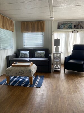 TV, fireplace, DVD player, books