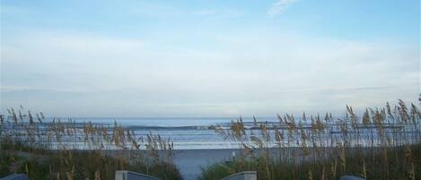 サンラウンジャー