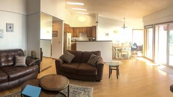 TV, fireplace, DVD player, books
