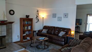 Télévision, cheminée, lecteur de DVD, livres