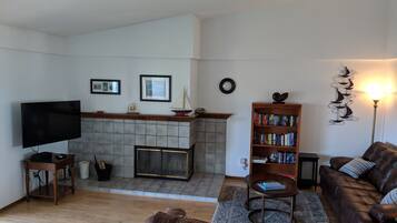 Televisión, chimenea, reproductor de DVD y libros