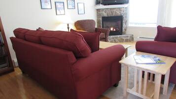 TV, fireplace, DVD player, books