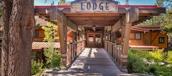 Dog-friendly cabin with pool & hot tub - near hiking/skiing