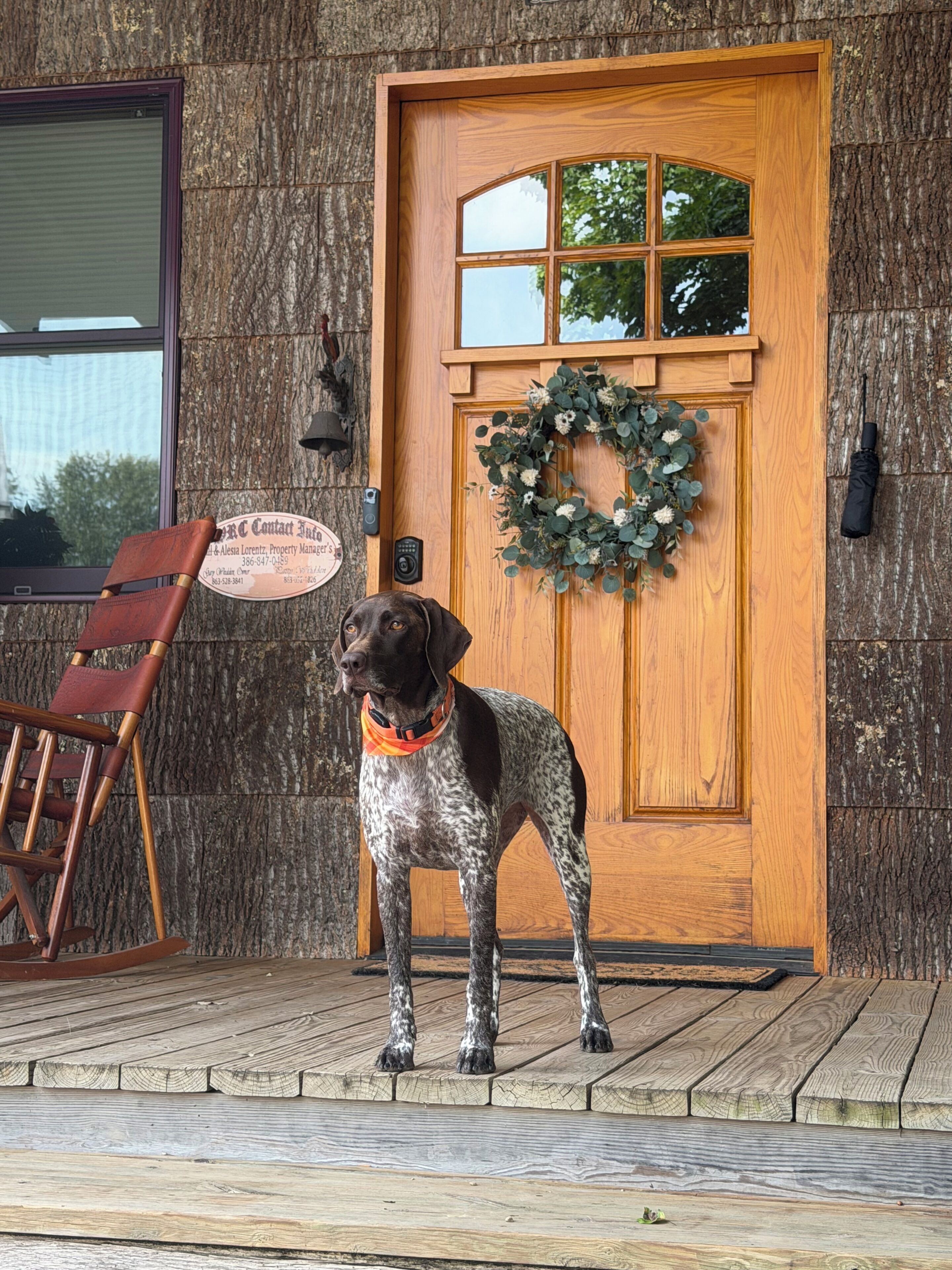 A wooden door with a wreath, a sign, and a dog standing on a wooden deck.