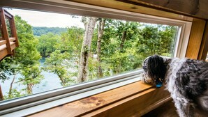 Un chien regarde par la fenêtre, d’où l’on aperçoit une forêt et une rivière.