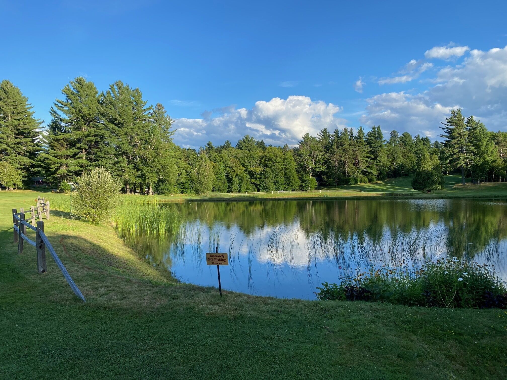 Terrain de l’hébergement 