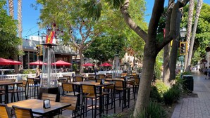 An outdoor dining area with tables and chairs, surrounded by trees and umbrellas.