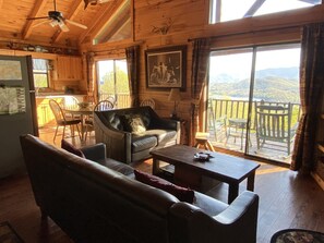 Smart TV, fireplace, DVD player, video library