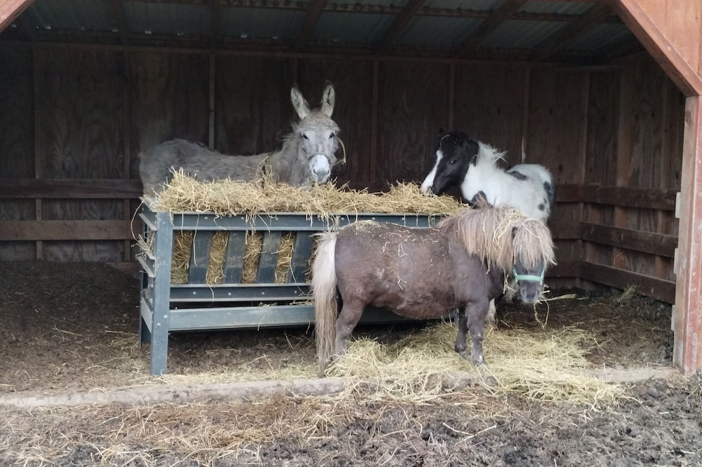 Family Friendly Barndominium in Amish Country (Sleeps 8)