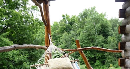 Cabane en rondins privée et artistique, amenez vos animaux de compagnie et profitez du meilleur du Vermont