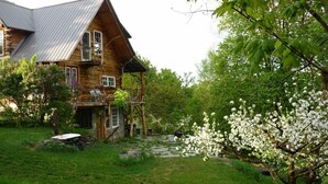 Eksteriør