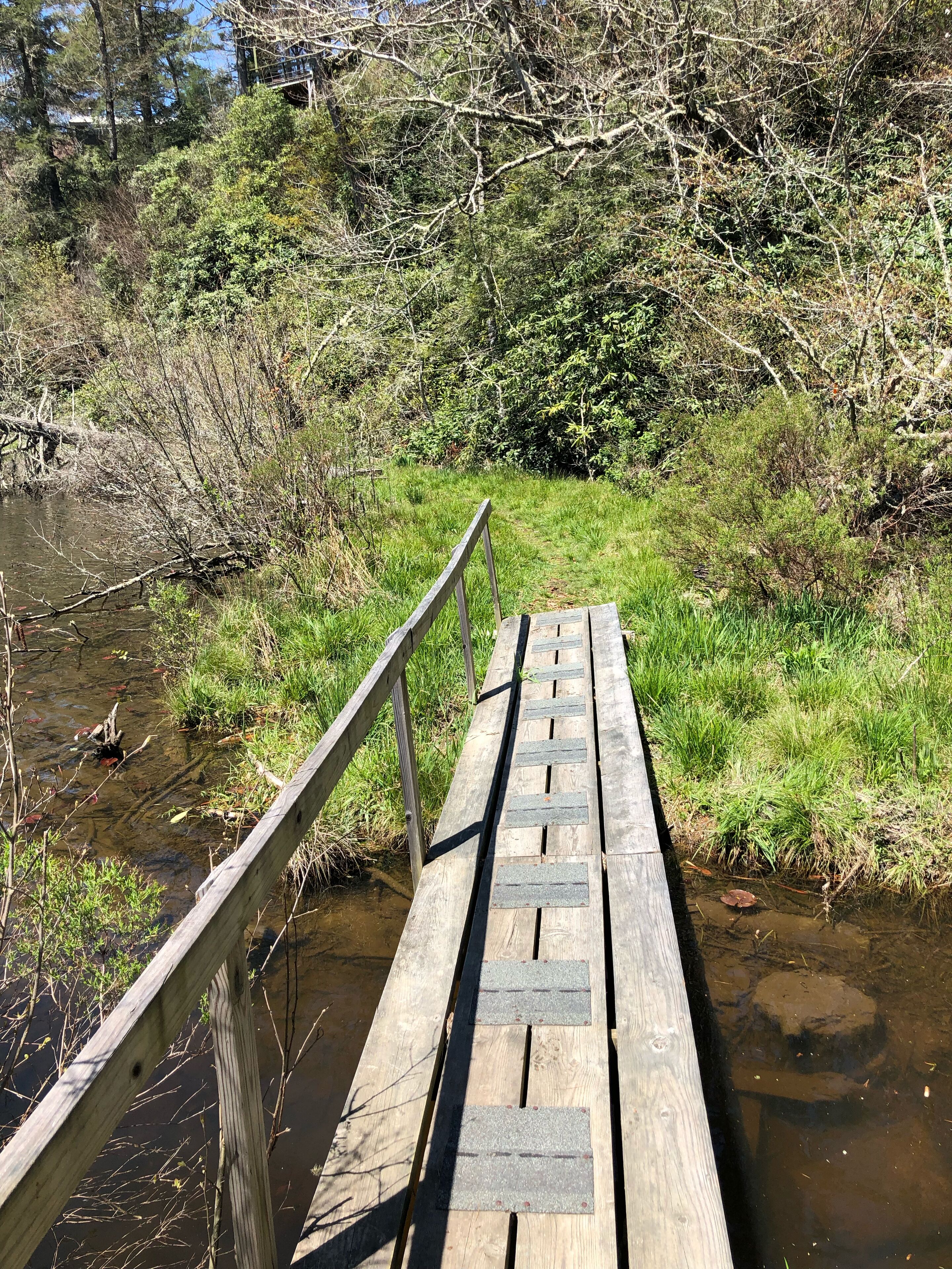 Un puente de madera sobre un río tranquilo, flanqueado por una vegetación densa.