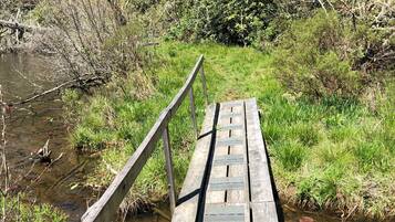 Un puente de madera sobre un río tranquilo, flanqueado por una vegetación densa.