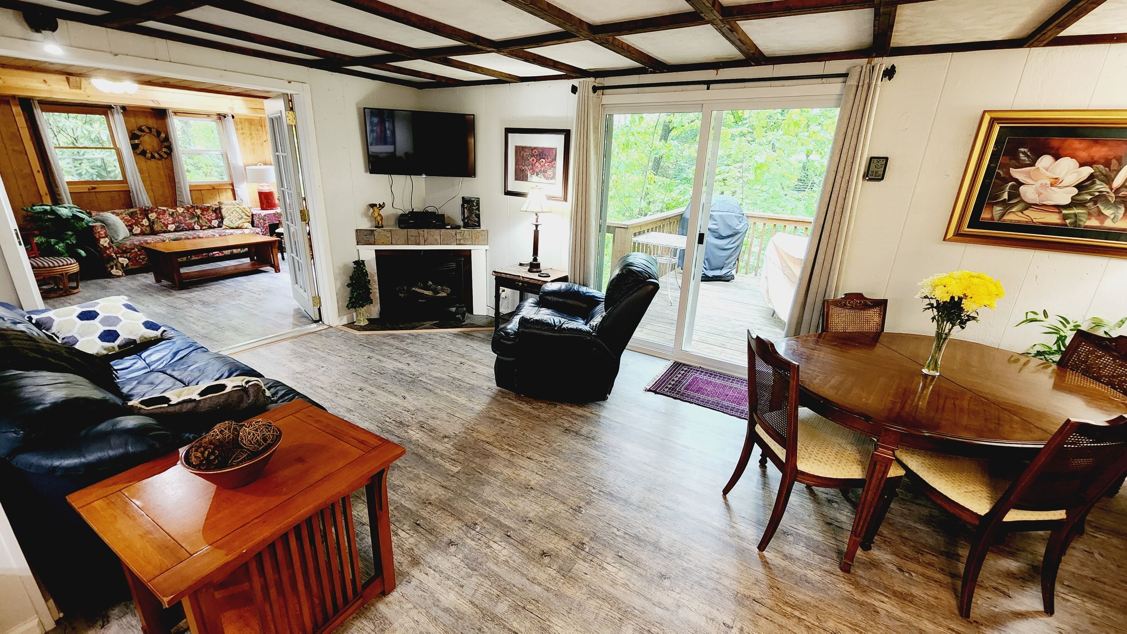 TV, fireplace, DVD player, books