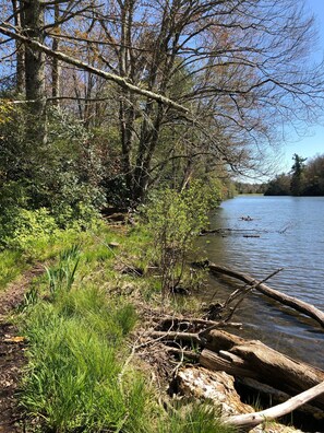 A natural landscape with a river, trees, and grassy areas.