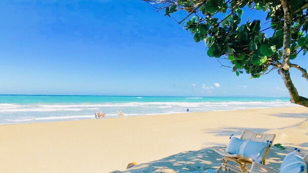 Une plage offrant une vue dégagée sur l’océan, une zone sablonneuse avec un tapis bleu et des chaises en osier, et un arbre qui procure de l’ombre.
