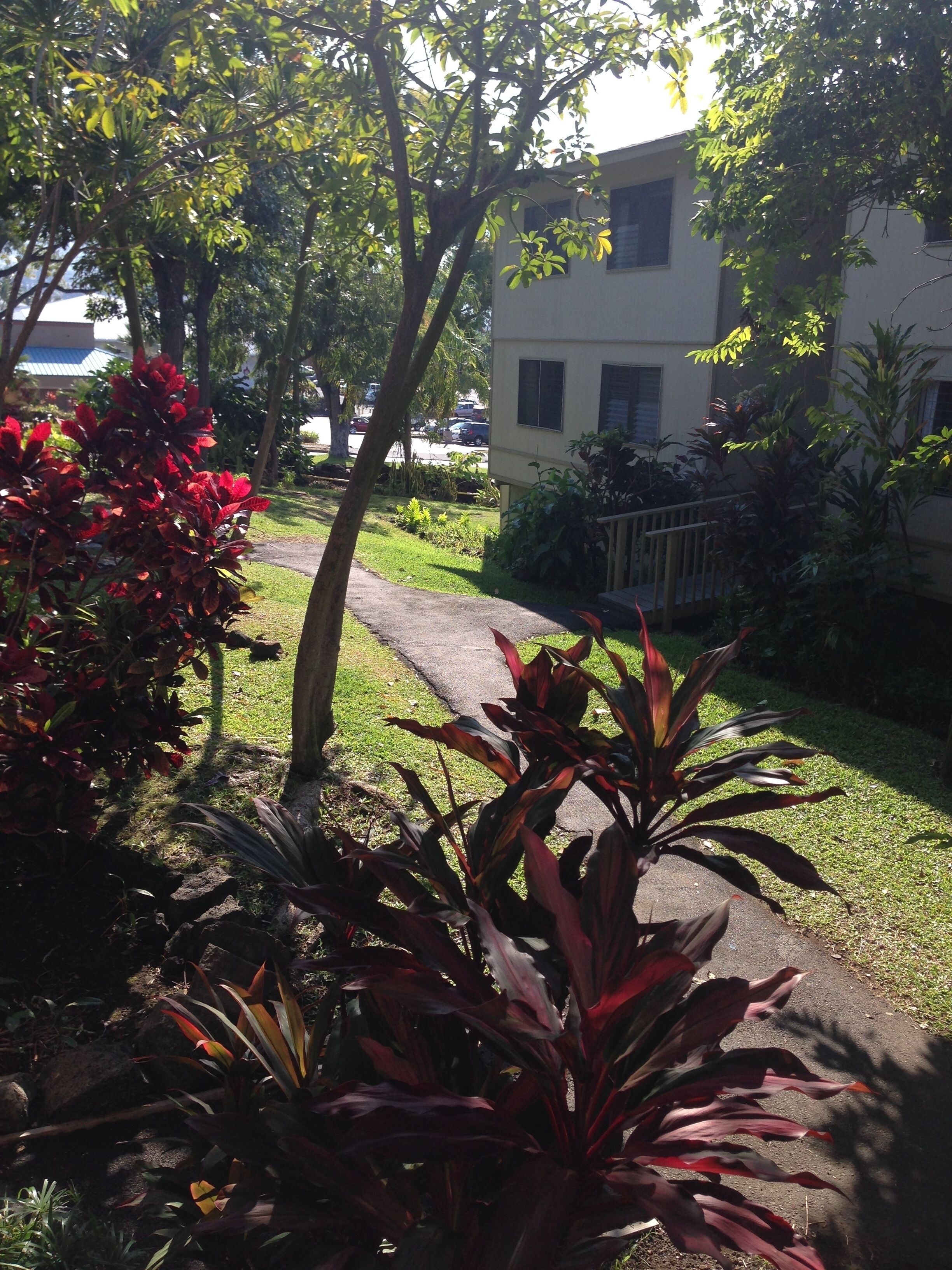 A pathway leading to a building with a balcony, surrounded by various plants and trees.