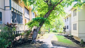 Un sendero bordeado por edificios con balcones y un árbol en el centro.