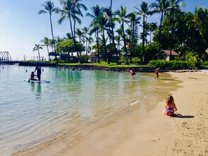 A beach with clear water, palm trees, and people engaging in water activities. - 2 bedroom fully furnished and all included in downtown Kona with swimming pool (Kailua kona)