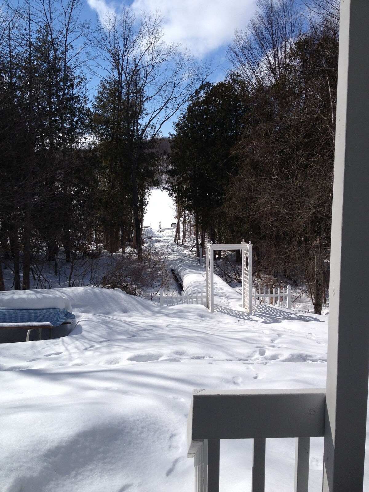 Imagen de perfil del propietario o de la propietaria