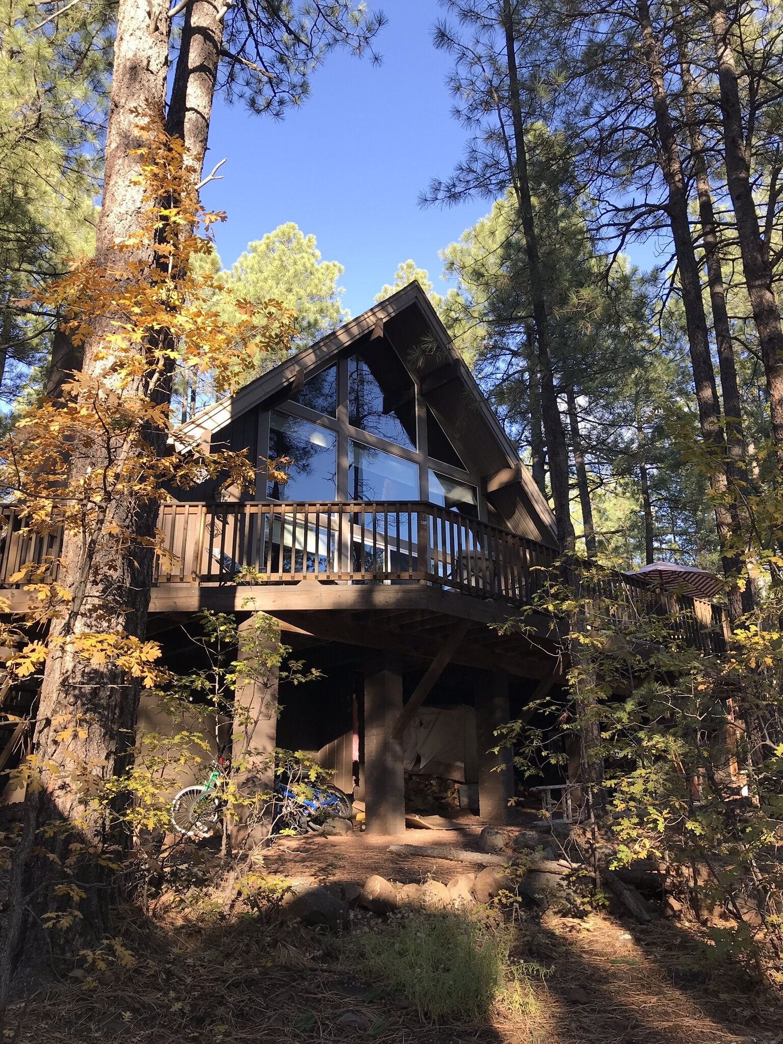Beautiful Cabin In The Pines On Cul-de-sac