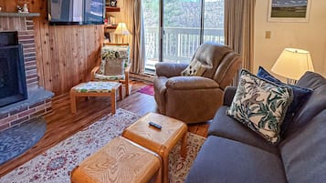 Televisión, chimenea y libros