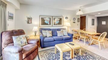 Televisión, chimenea y libros