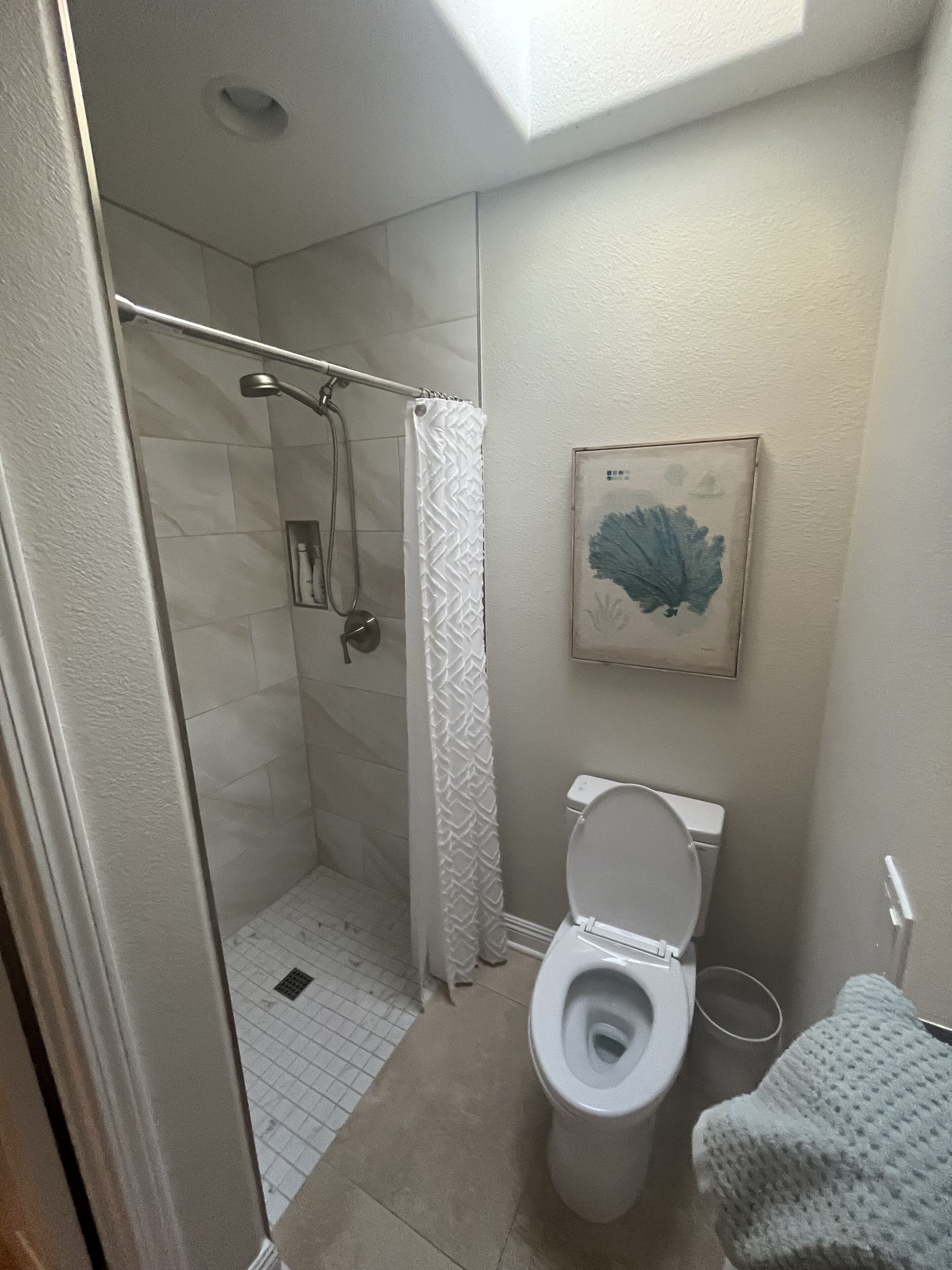 Ein Badezimmer mit Dusche, Toilette und einem gerahmten Kunstwerk an der Wand.