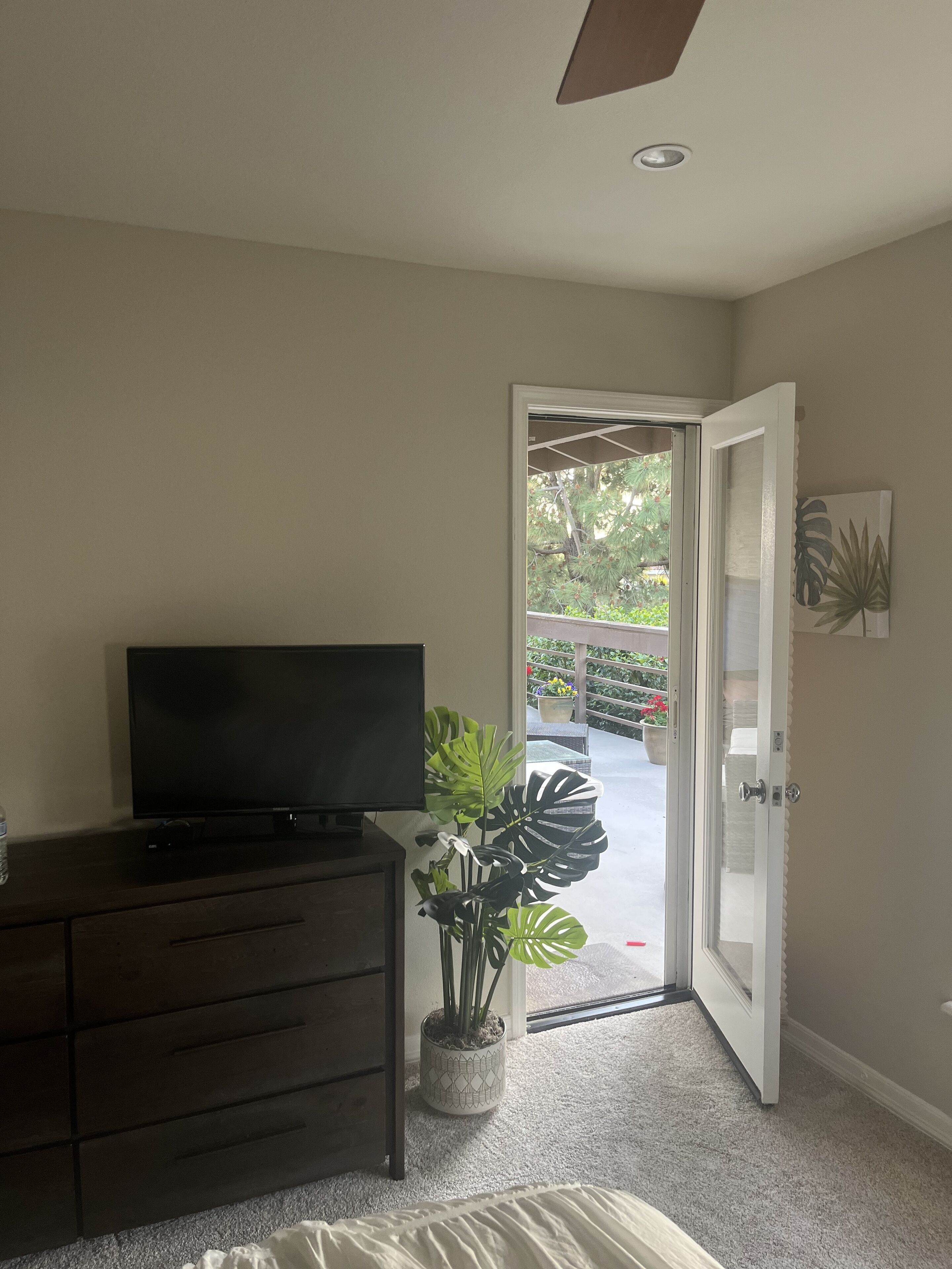 Ein Schlafzimmer mit Fernseher auf einer Kommode, einer Topfpflanze und einer Tür, die auf einen Balkon mit Pflanzen hinausführt.