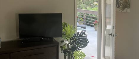 Ein Schlafzimmer mit Fernseher auf einer Kommode, einer Topfpflanze und einer Tür, die auf einen Balkon mit Pflanzen hinausführt.
