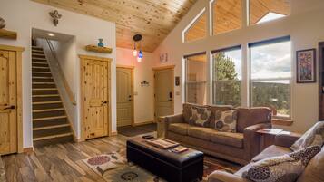 Smart TV, fireplace, DVD player, books