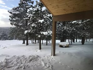 Property grounds - Custom Home with Two Private Master Suites and Heated Garage (Angel Fire)