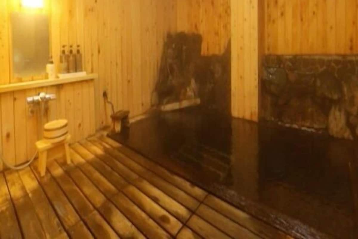 Un interior de madera con sauna, un inodoro y un espejo.