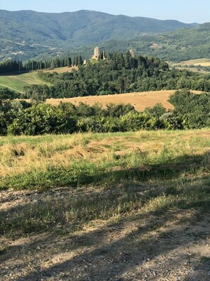 Vista al paisaje
