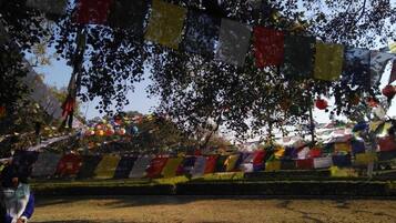 A pathway lined with colorful prayer flags and a person walking.