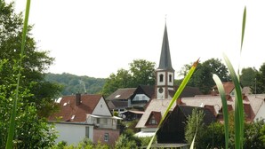 A serene village scene with a church, houses, and a pond with purple flowers. - Blick zum Maimont (Ludwigswinkel)