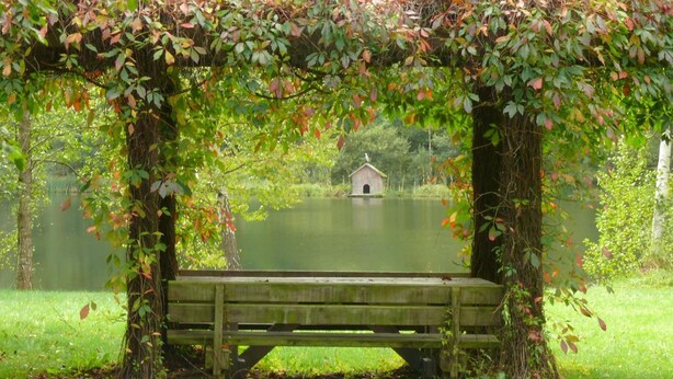A wooden bench under a vine-covered arbor by a lake with a small building in the background. - Blick zum Maimont (Ludwigswinkel)