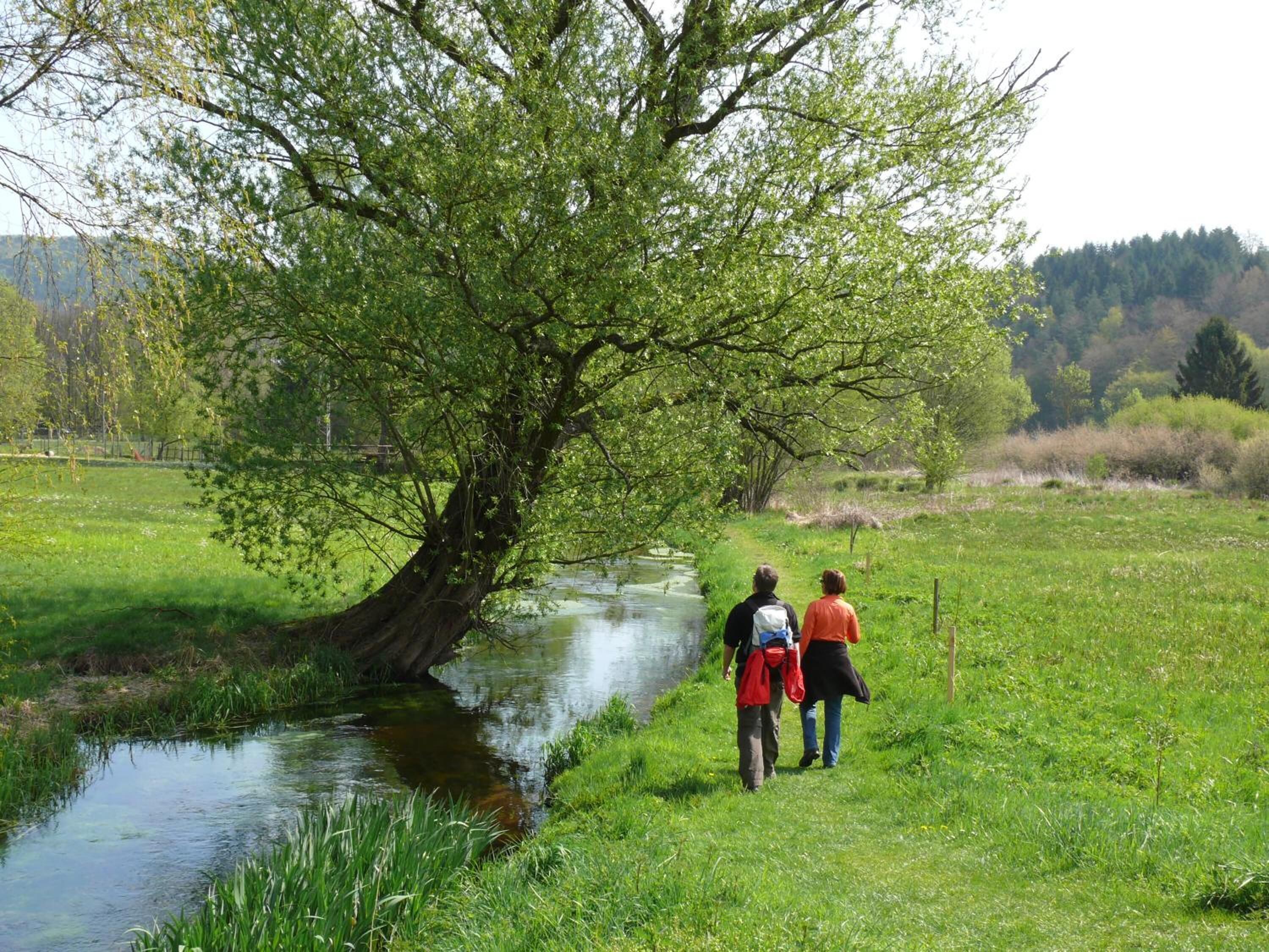 Un paisaje natural con un arroyo bordeado de árboles y un campo cubierto de hierba.