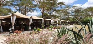 Garden - Swara Acacia Lodge (Athi River)