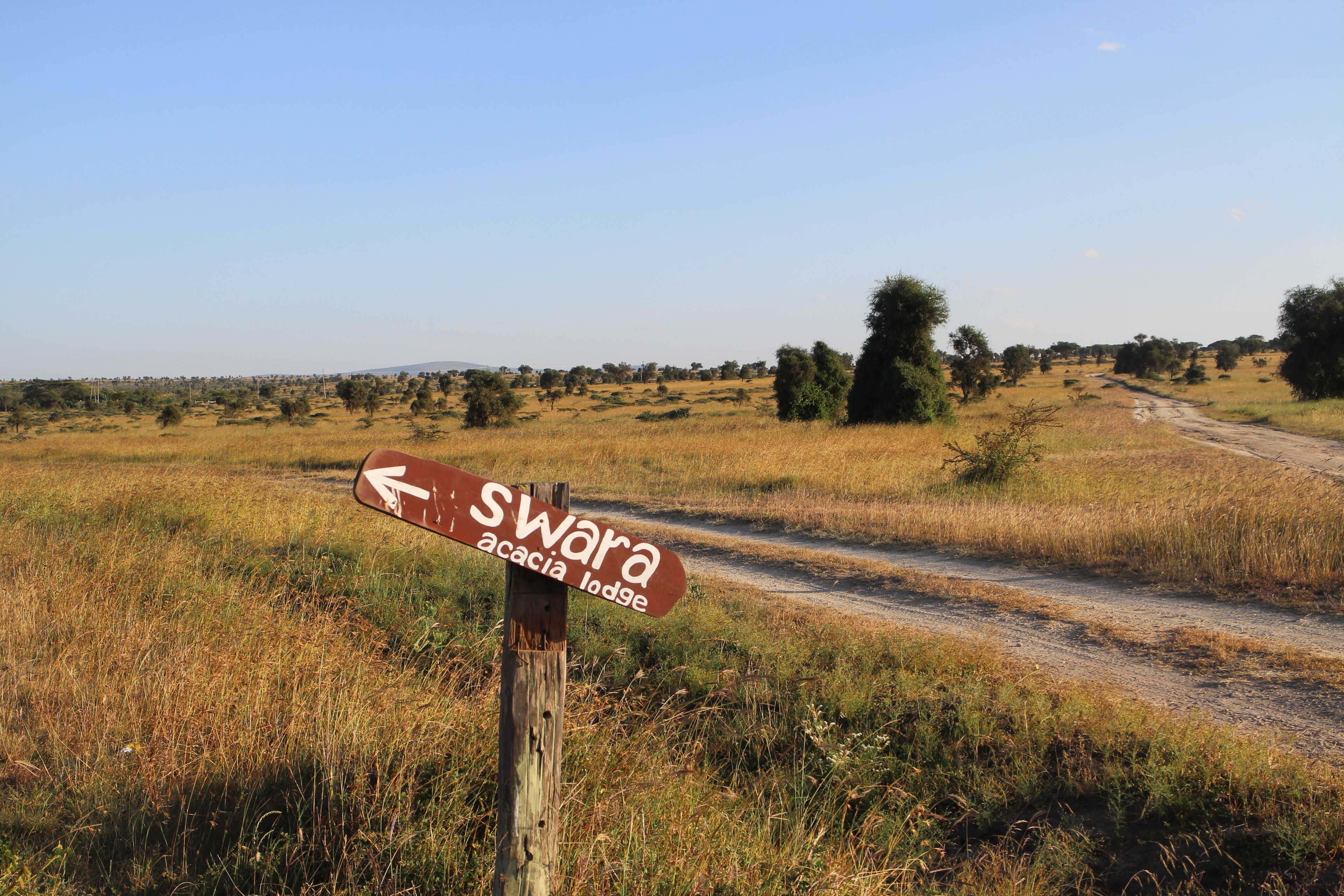 Un cartel indicador en un campo cubierto de hierba con un sendero de tierra.