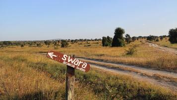 A directional signpost in a grassy field with a dirt path.