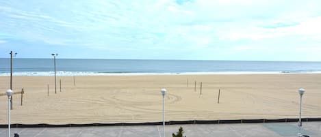 On the beach