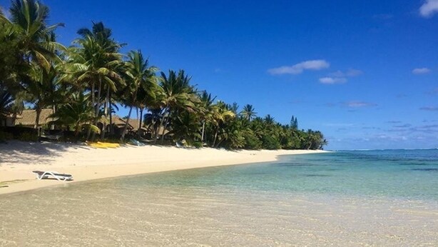 Une plage de sable blanc, avec une eau turquoise cristalline et des palmiers.