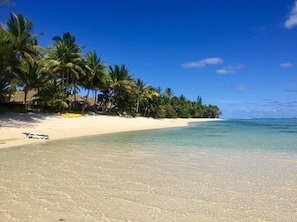A beach with white sand, clear turquoise water, and palm trees.