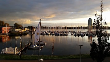 Vista desde la habitación