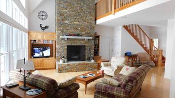 Televisión, chimenea, videojuegos y reproductor de DVD