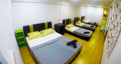 Cheap homestay but excellent service for big family.