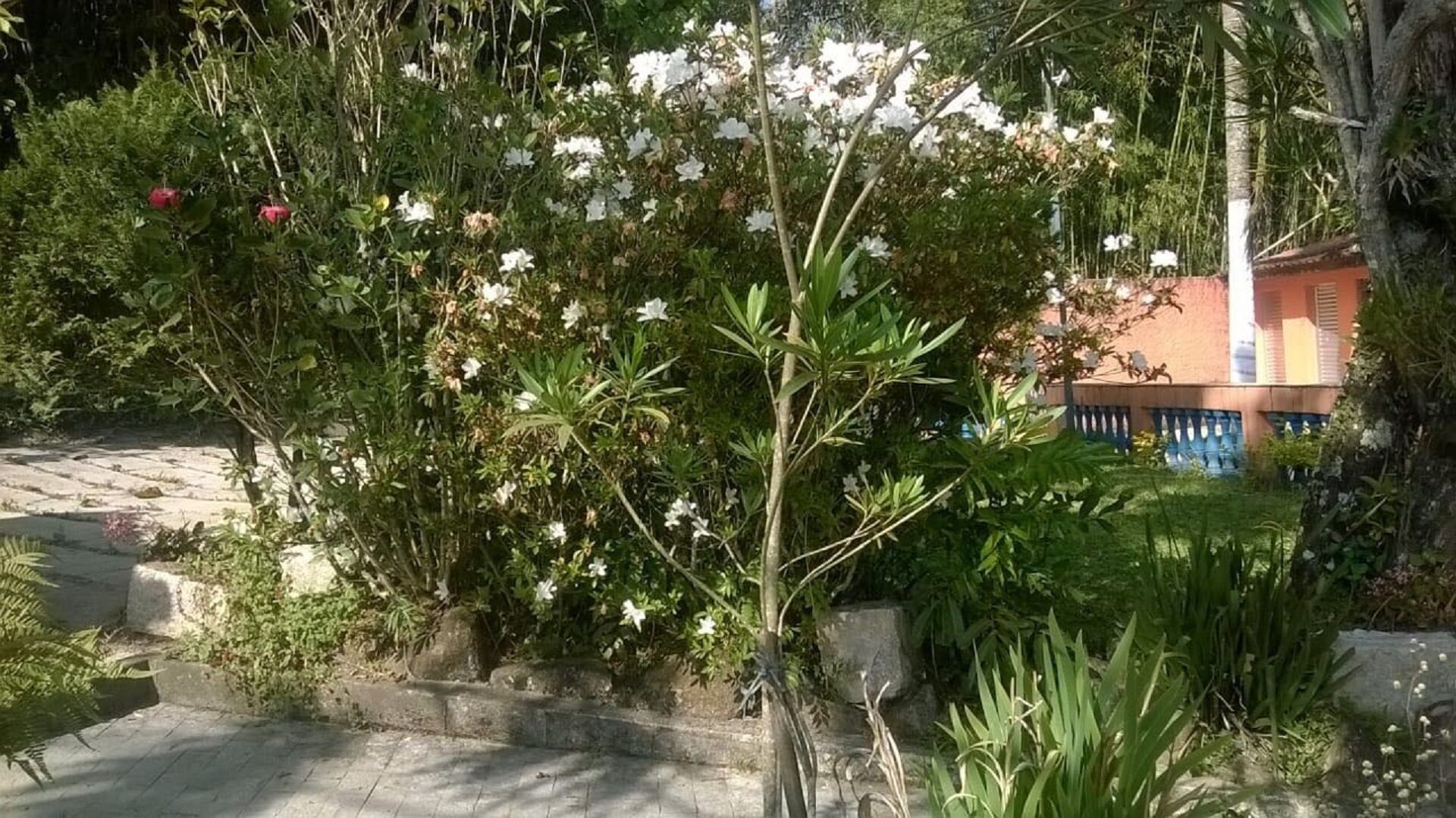 Farm for events and tours in less than 1 hour from SP Mogi das Cruzes