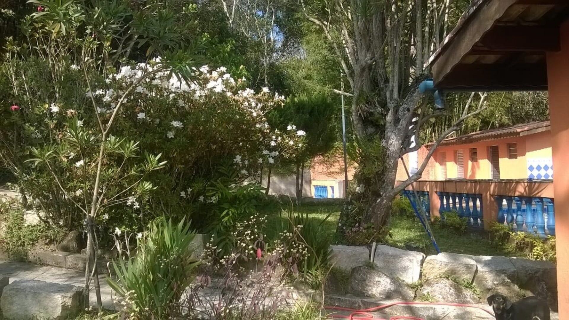 Farm for events and tours in less than 1 hour from SP Mogi das Cruzes